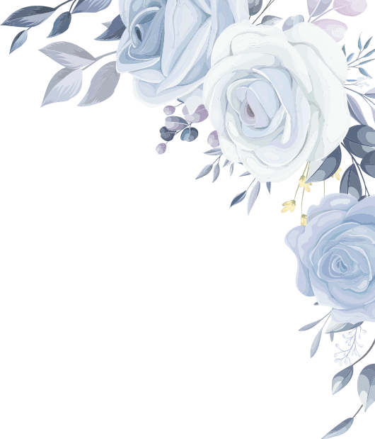 hero-decor-2